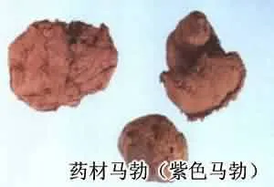 马勃(马疕，马屁勃，马疕苗，灰菇，马屁包，牛屎菇，灰包菌，药苞，人头菌、牛屎菌)