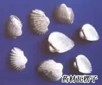 瓦楞子(蚶壳，瓦垄子，蚶子壳，魁蛤壳，花蚬壳，瓦垄蛤皮，血蛤皮)