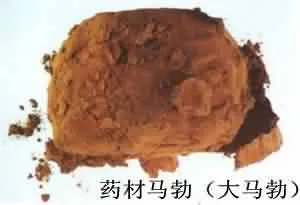 马勃(马疕，马屁勃，马疕苗，灰菇，马屁包，牛屎菇，灰包菌，药苞，人头菌、牛屎菌)
