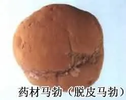 马勃(马疕，马屁勃，马疕苗，灰菇，马屁包，牛屎菇，灰包菌，药苞，人头菌、牛屎菌)