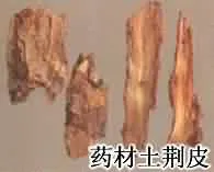 土荆皮()