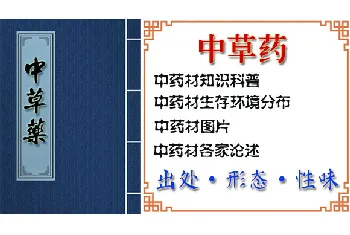 广东络石藤[穿根藤 松筋藤]的功效与作用_广东络石藤图片