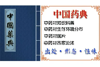 豆蔻[圆豆蔻 白豆蔻]的功效与作用_中国药典_豆蔻图片