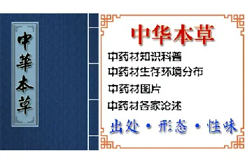 罗汉果叶的功效与作用_中华本草_罗汉果叶图片