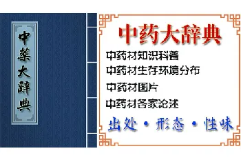 鳆鱼[鲍鱼 石决明肉 镜面鱼]的功效与作用_中药大辞典_鳆鱼图片